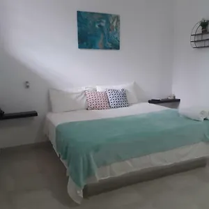 Estudio Nuevo En Centro , Cancún México